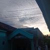 gedangg_87