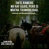 estuardito44tush