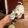 userlawrencemiller3113