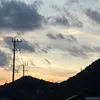 mikutyannmana