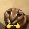 elfloppita28
