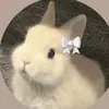 yooneaindra89