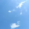 aiceblueberry