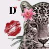 dai._.sy77