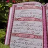 dargay_rayan