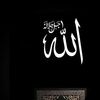 hani_14564r