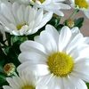user4032016121756g