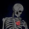boyousef_89