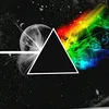 lou_zepp