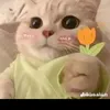 t_duong208