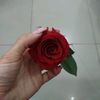 arzush070198
