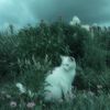 ftwaglh_1