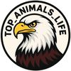 TOP_ANIMALS_LIFE