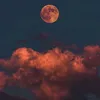 userr_2084