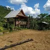 hoangvnthinhhoang