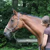 filias7ss_ponyhofleben