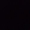 orangaring_1351