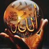 user4431168611811
