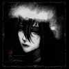 xingyin.jw