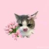 lynnn_810