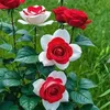user6600176198121