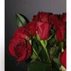 hadil__96