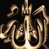 farzan.ali225