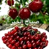 salmaasrri3elasrizah