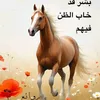 sssmmmm4834