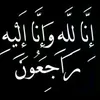 mahmam223