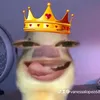 vanessalopez6853
