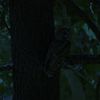 thebigethan_