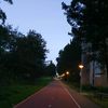 lelubossen