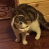 clipclipclip