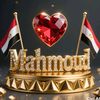 mahmoudelswalmy