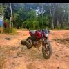 basoh75