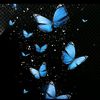b2e9a0t7r7i2zflor