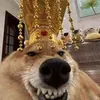 hoangsky999