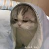 sweetly_taa2