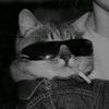 ziiwhwh