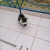 sweety_962014