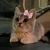 dtyuiij5