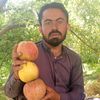 ihsan.khan102