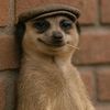 henrythe_ninth