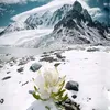 tuan.anh3350