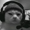 azzxybcaa