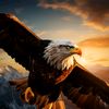 🦅QA®️A QA®️TAL🦅