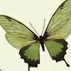syyam6792