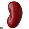 kidneybean24