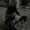 mehmet_60wp